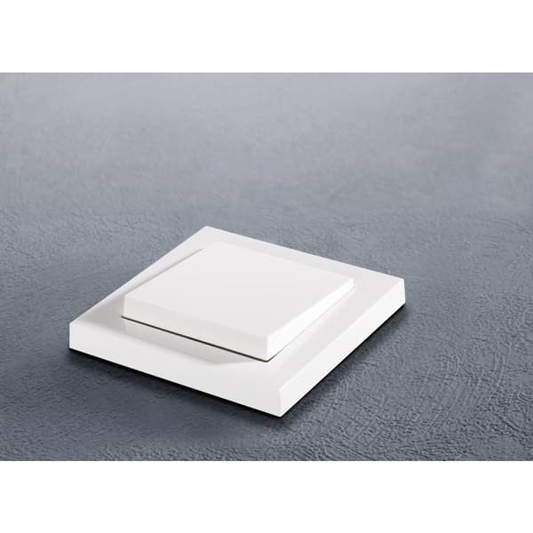 Täckram GIRA E2, Standard 55, System 55 Renvit 1 st