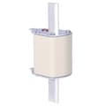 Miniatyrbillede 4 af 4: Sikringsindsats - NH2C gG 250A/500V - langsom