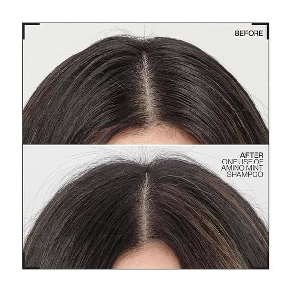 Redken - Champô Purificante Redken Amino-Mint Cabelos Oleosos (300 ml)
