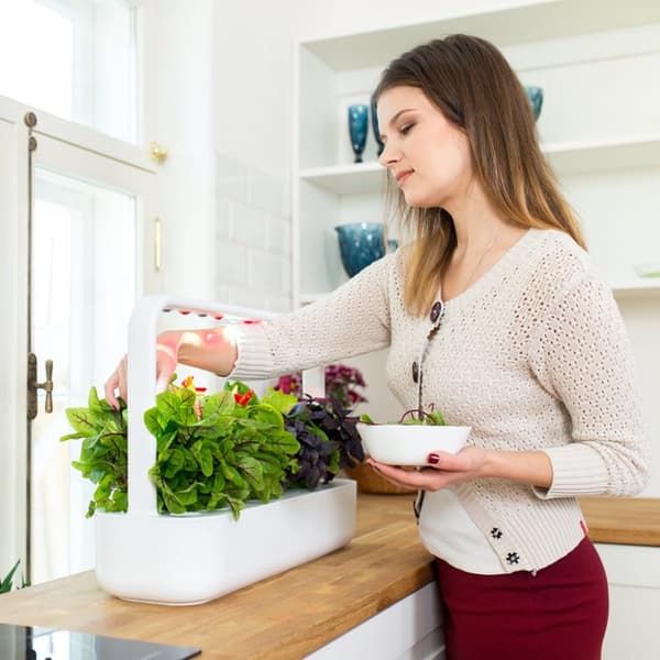 Click and Grow Smart Garden 9 Start Kit Valkoinen
