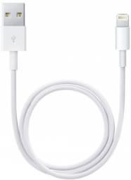 Apple Lightning to USB Cable (1В m)