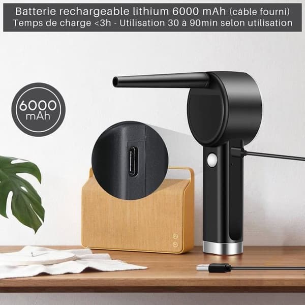 Dammsugare med blåsfunktion - Waytex - 73601 - Uppladdningsbar trådlös - Torr luft 28 m/s - Autonomi 90 min