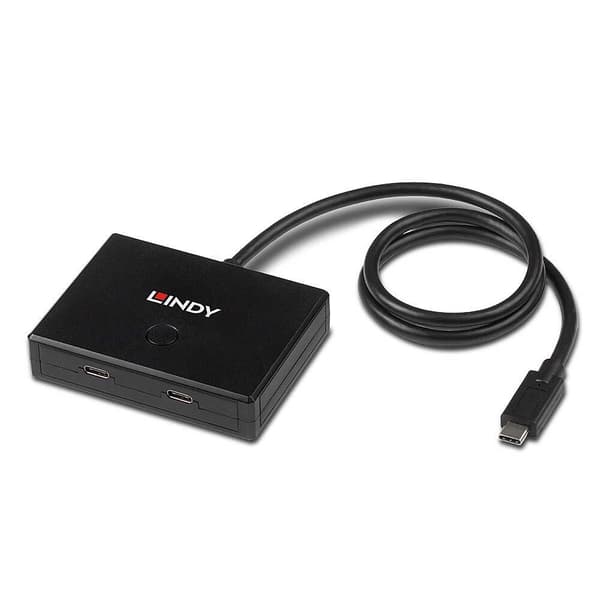 Lindy 2 Usb 3.2 Gen 2 Usb C Hub Sort