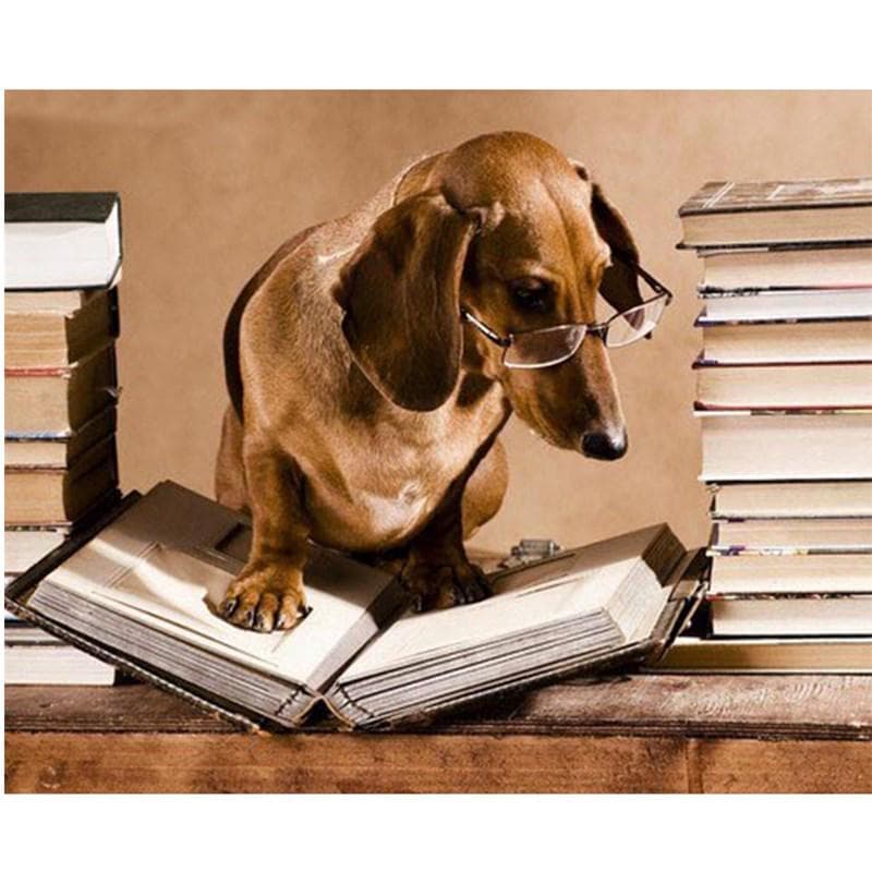 5D DIY Diamond Painting Reading Dog Full Round Broderi Craft Wall Art Gift för heminredning
