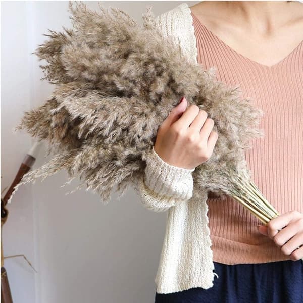 20 stycken Pampa Gräs 80 cm Naturligt torkad Bröllopsblomma Trend Pampa Konstgjord bukett Torkad heminredning inomhusvaser