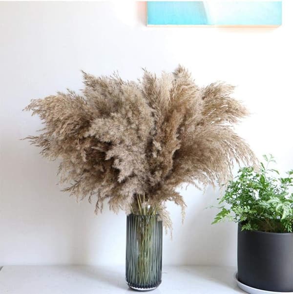 20 stycken Pampa Gräs 80 cm Naturligt torkad Bröllopsblomma Trend Pampa Konstgjord bukett Torkad heminredning inomhusvaser