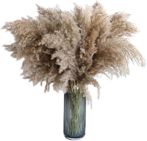 20 stycken Pampa Gräs 80 cm Naturligt torkad Bröllopsblomma Trend Pampa Konstgjord bukett Torkad heminredning inomhusvaser