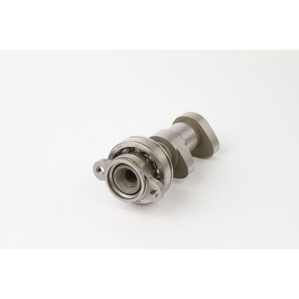 Hotcams Nokka-akseli Kawasaki Kfx 450 R 08-14 Al.2094.2e Hopeinen