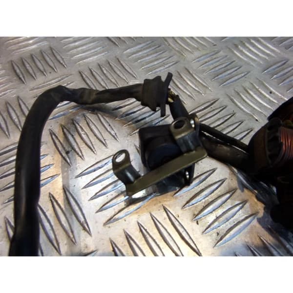 statorspolar tändskoter pgo 125 t-rex t rex trex- USED