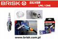 Miniatyrbild 4 av 4: BRISK Silverljus för LPG/CNG - GR15YS-9 / 1577