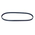 Miniatyrbild 4 av 4: CONTITECH 4PK841 MULTIRIBBAND