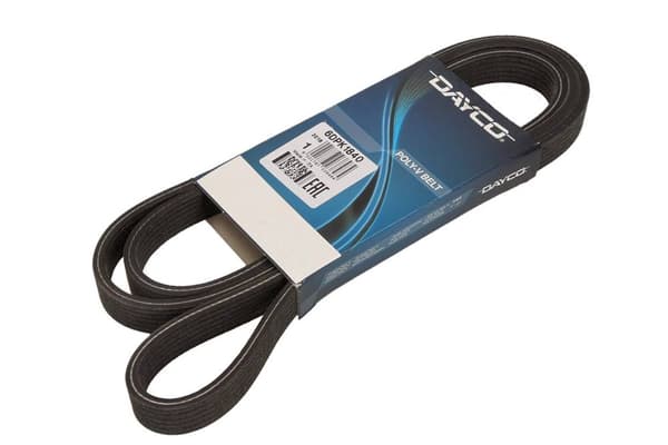 DAYCO MONIKIERRETTY HIHNA 6DPK1840