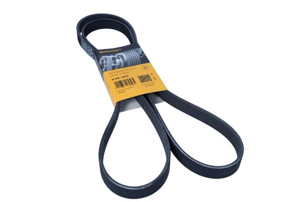 CONTITECH 6PK1870 MULTIRIBB-REM
