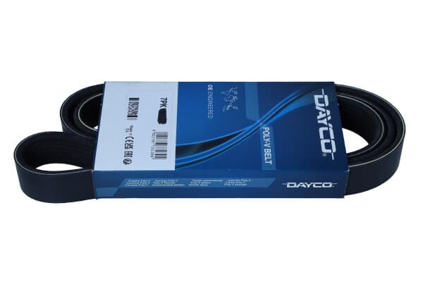 DAYCO 7DPK1697 MONIRUUVAHN