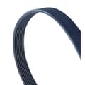 Miniatyrbild 1 av 2: CONTITECH 7PK880 MULTIRIBBAND