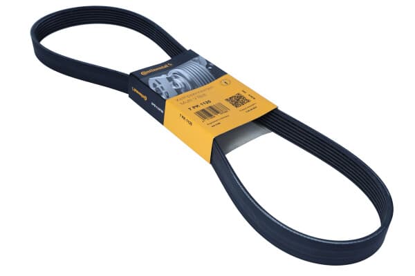 CONTITECH 7PK1125 MULTIRIBBAND