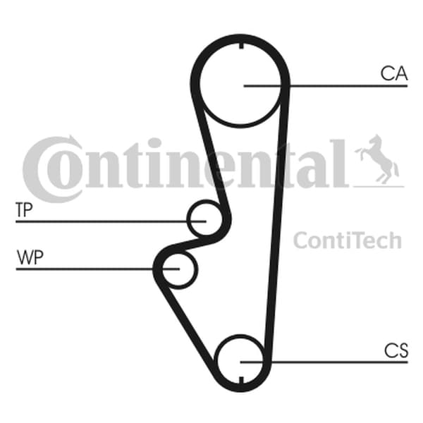 CONTITECH KAMREMM MAZDA 2.0