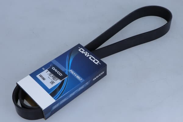 DAYCO RIBBET REM 8PK1295