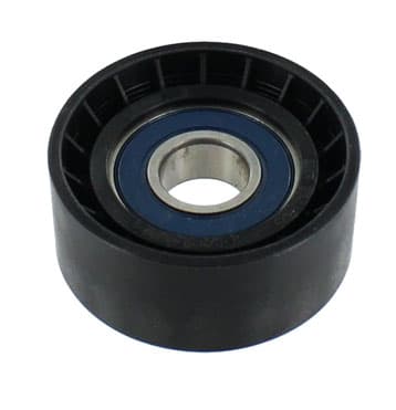 SKF RENAULT POLYRIBBED REMRULLE