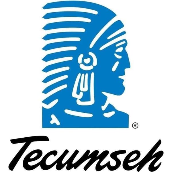 Luftfilter TECUMSEH 36356