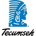 Miniatyrbild 2 av 2: Luftfilter TECUMSEH 36356