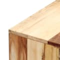 Miniatyrbilde 6 av 10: vidaXL TV-benk 100x30x33 cm gjenvunnet heltre