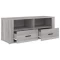 Miniatyrbilde 6 av 10: vidaXL TV-benk grå sonoma 100x35x40 cm konstruert tre
