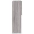 Pikkukuva 10 / 11: vidaXL TV-kaappi LED-valoilla harmaa Sonoma 40,5x30x102 cm