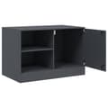 Miniatyrbilde 8 av 11: vidaXL TV-benker 2 stk antrasitt 67x39x44 cm stål