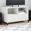 Miniatyrbilde 2 av 11: vidaXL TV-benk hvit 68x39x43,5 cm stål