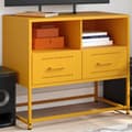 Miniatyrbillede 2 af 11: vidaXL tv-bord 68x39x60,5 cm stål sennepsgul