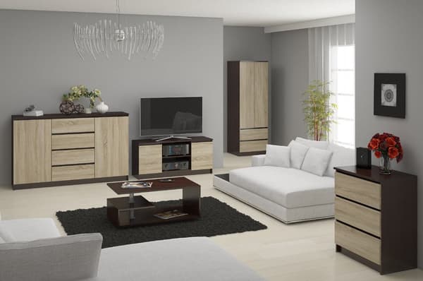 TV-skab 120 cm 2D 1P WENGE / SONOMA