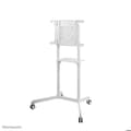 Miniatyrbild 2 av 3: Stöd för platt skärm - NEWSTAR - NS-M1250WHITE - Vit - Metall - 70 kg