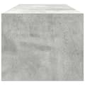 Miniatyrbilde 9 av 11: vidaXL TV-skap Betonggrå 100x31x25,5 cm Konstruert tre