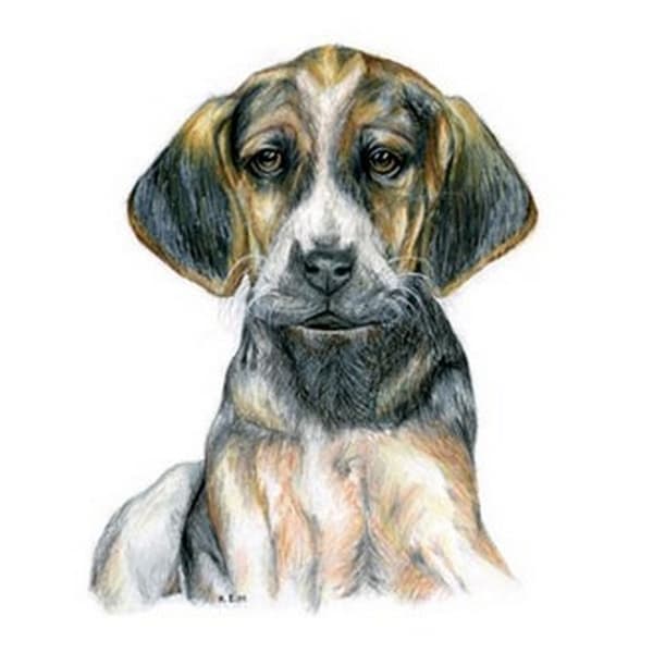 Kevin Milner Hound Puppy Art Countryside Lykønskningskort Multicoloured One Size