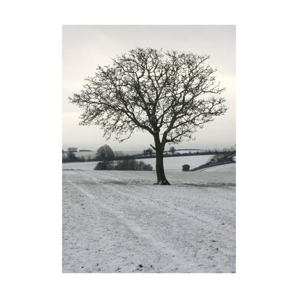 Kevin Milner Cope Farm Tree Julkort Off White/Cream/Grey Print One Size