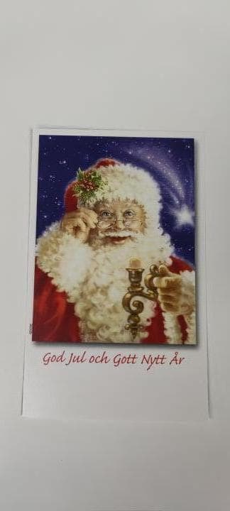 8 st enkla kort med kuvert - God Jul och Gott Nytt År - (nr9) julkort