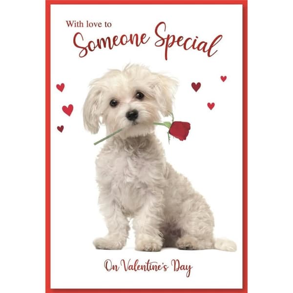 Simon Elvin Puppy Valentine Greetings Card (Pack of 6)