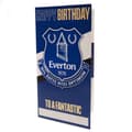Miniatyrbillede 1 af 5: Everton FC Customisable Birthday Card With Stickers