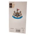 Miniatyrbilde 2 av 5: Newcastle United FC Customisable Birthday Card With Stickers
