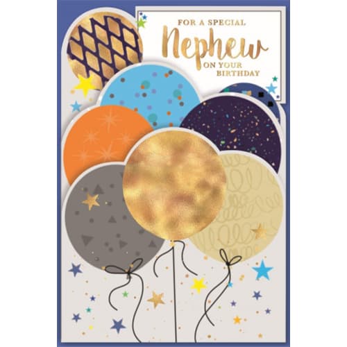 Simon Elvin For A Special Nephew Birthday Greetings Card (Pack of 6) Multicoloured One Size