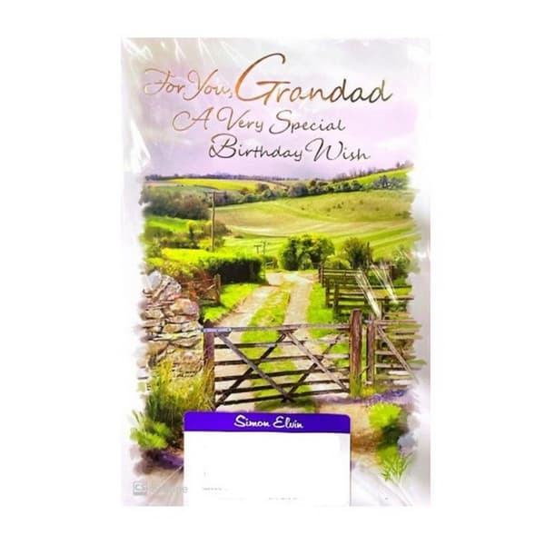 Simon Elvin For You Grandad Scenery Birthday Card (Pack of 6) Green One Size