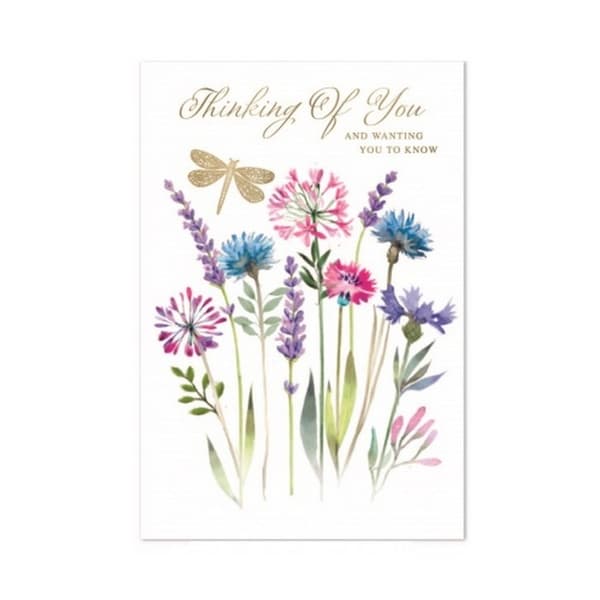 Simon Elvin Thinking Of You Sympathy Greetings Card (Pack of 6) White/Multicoloured One Size