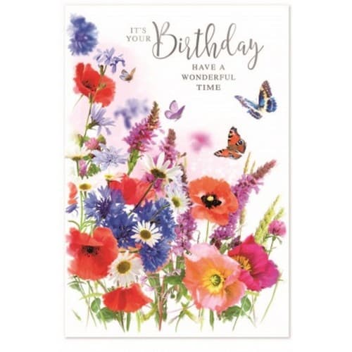 Simon Elvin Have A Wonderful Time Birthday Card (Pack of 6) Multicoloured One Size