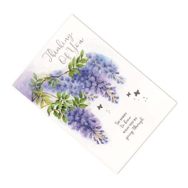 Simon Elvin Thinking Of You Sympathy Greetings Card (Pack of 6)