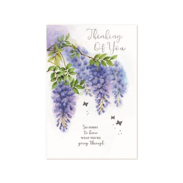 Simon Elvin Thinking Of You Sympathy Greetings Card (Pack of 6) Multicoloured One Size