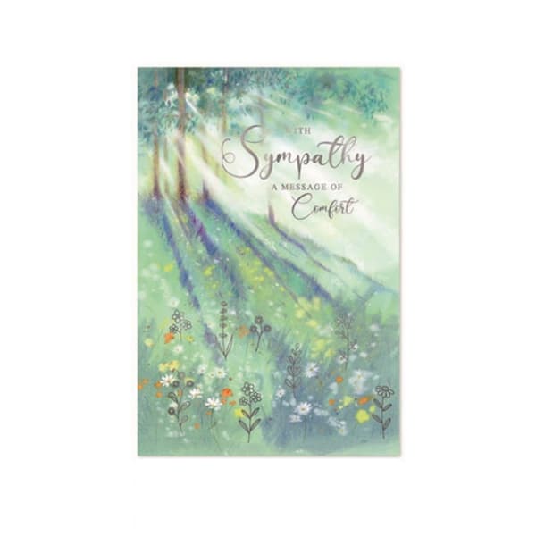 Simon Elvin With Sympathy A Message Of Comfort Greetings Card (Pack of 6) Multicoloured One Size