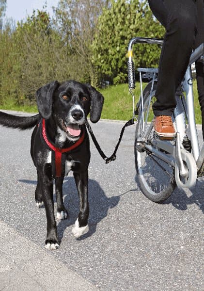 Cykelset De Luxe
