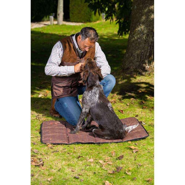 Baleno Hundeseng Brun XL