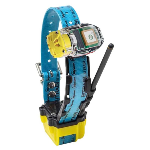 Bitrabi Mito 5100 Gps Hundehalsbånd